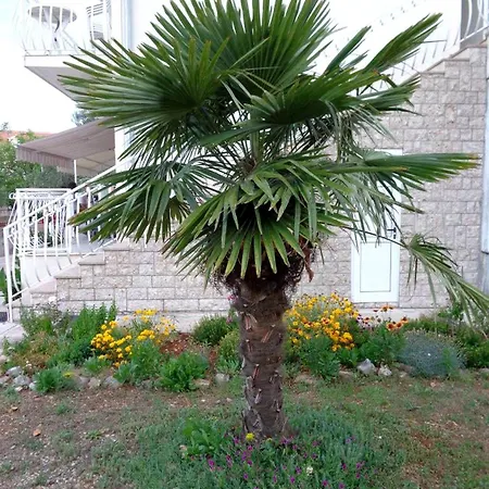 Apartment Danica With Balconies & Garden, 3 Min Walk To The *